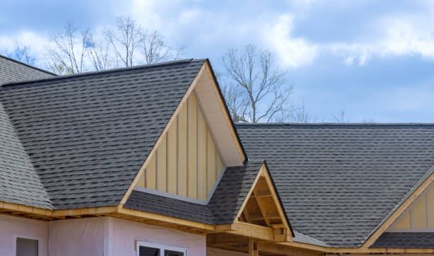 Best Roof Moss and Algae Removal  in Antlers, OK